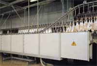 شوکر فرکانسی کشتارگاه طیور جایگزین شوکرهای قدیمی و افزایش بهره وری